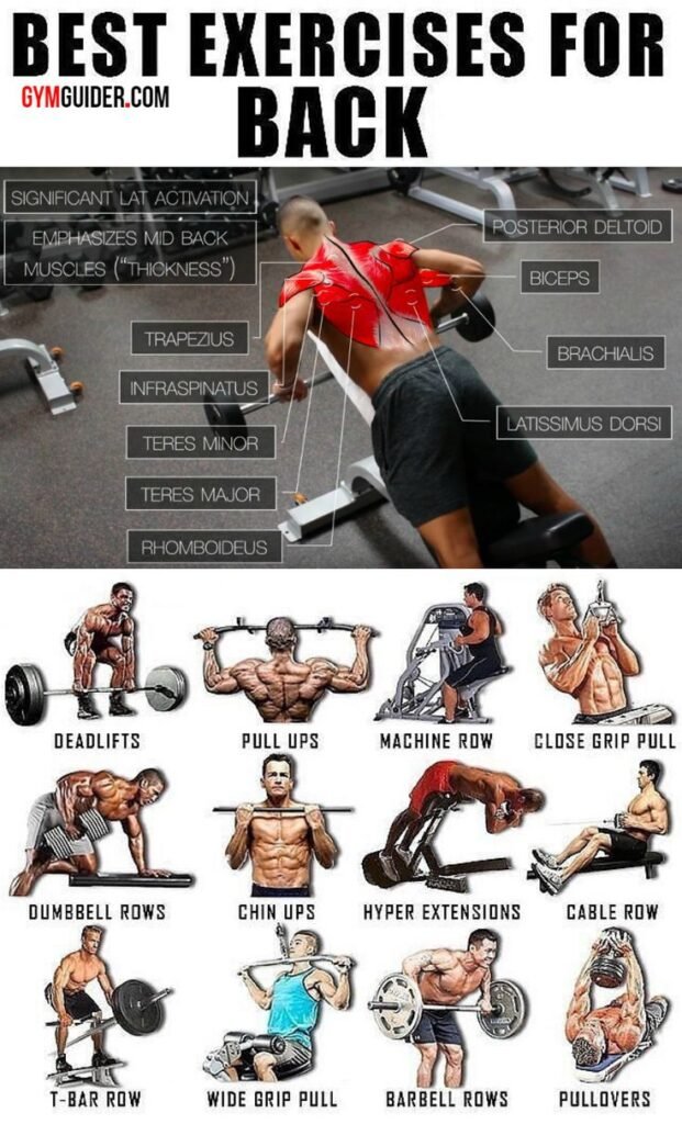 Back Workout Pictures for Effective Training Tips