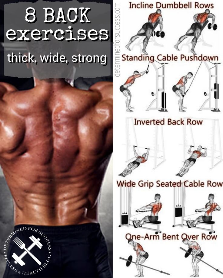 Big Back Workouts