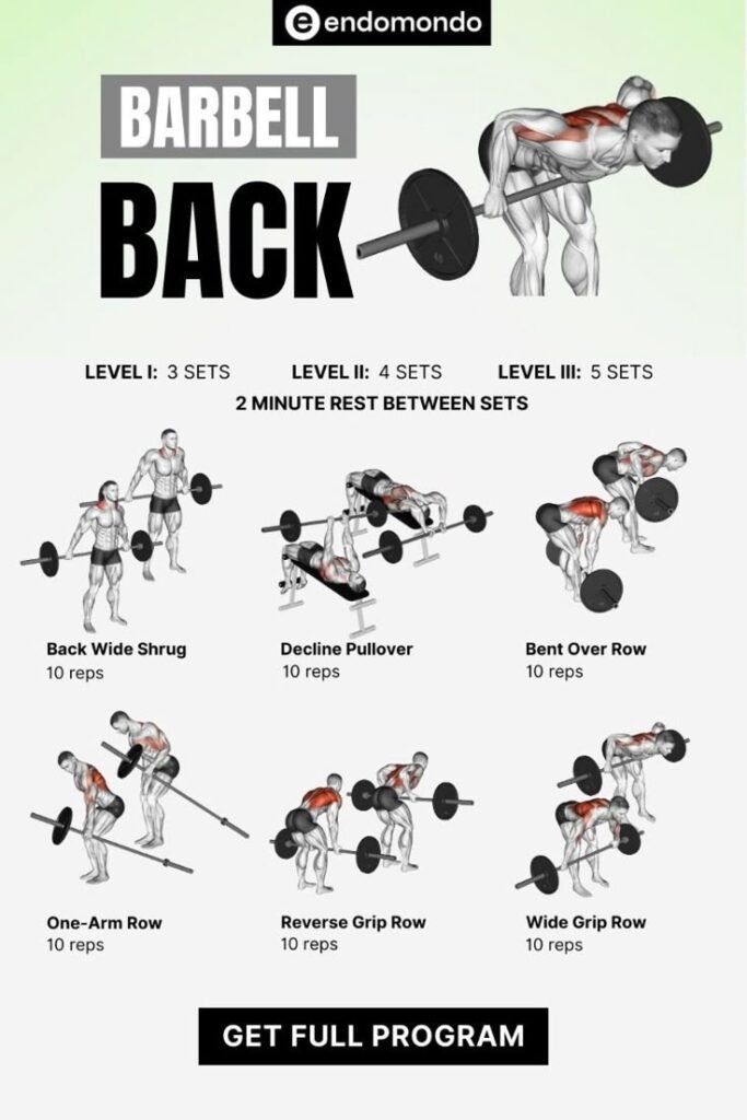 Ultimate Back Workout with Barbell Guide