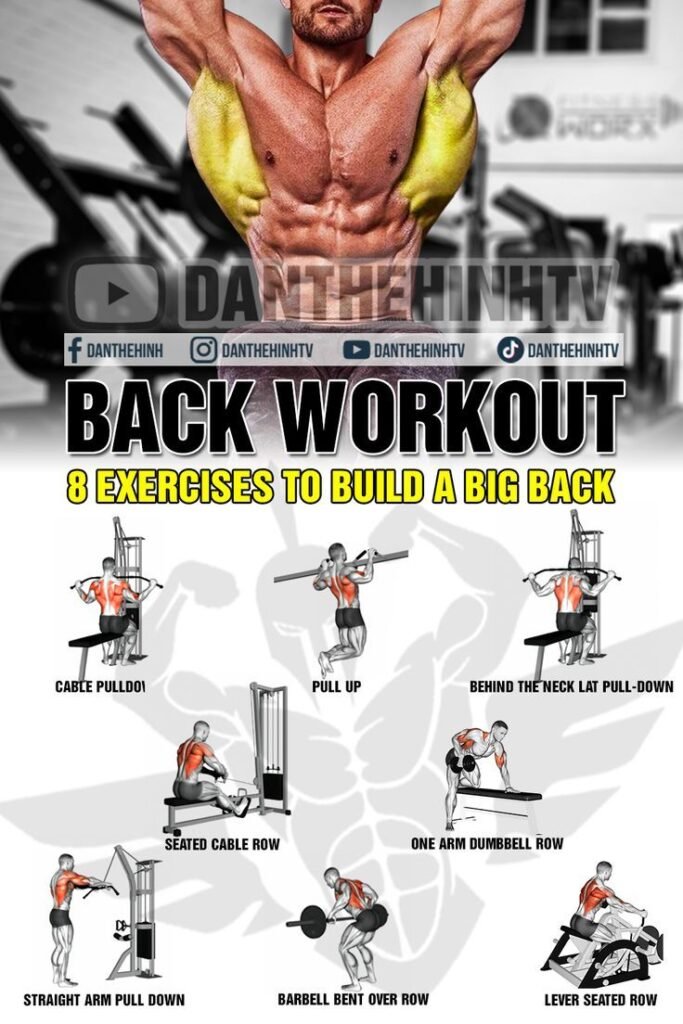 Back Gym Workout Chart