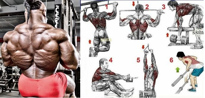 Best Back Exercises for Mass