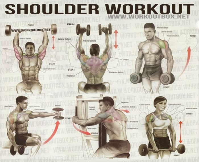 Effective Back and Shoulder Workout Routine