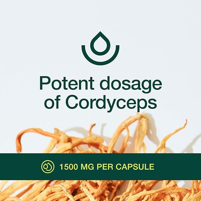 Cordyceps Mushroom supplement reviews