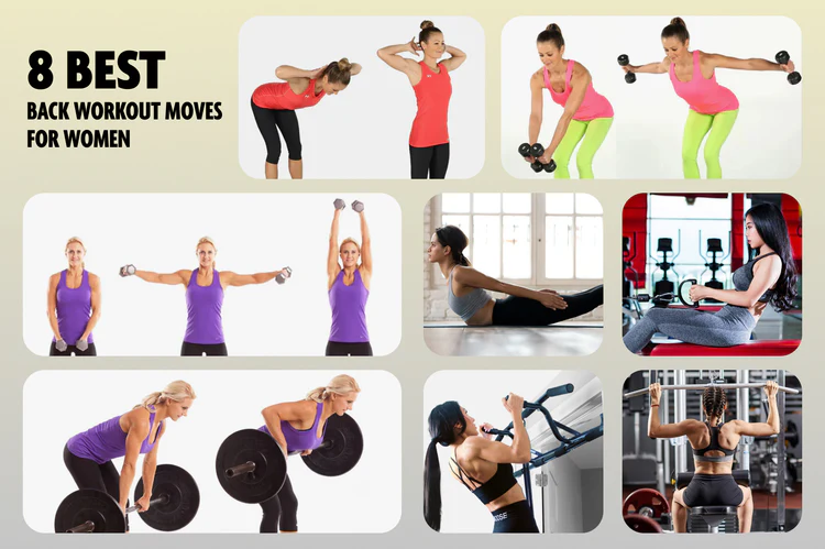 Back Gym Workout Chart