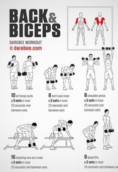 Ultimate Back, Shoulders & Biceps Workout Guide