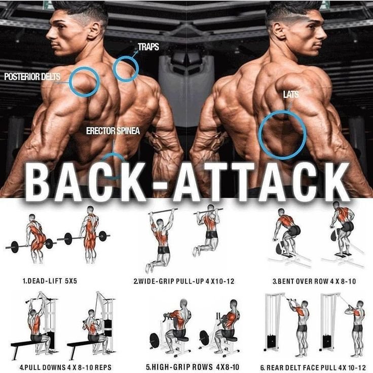 Effective Back Workouts for Strength & Tone