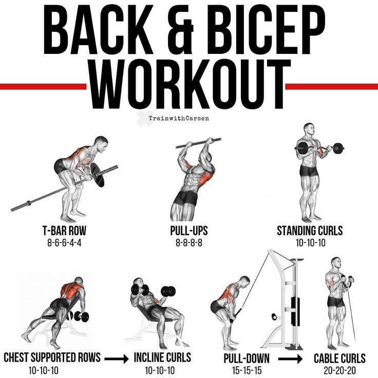 Ultimate Back, Shoulders & Biceps Workout Guide