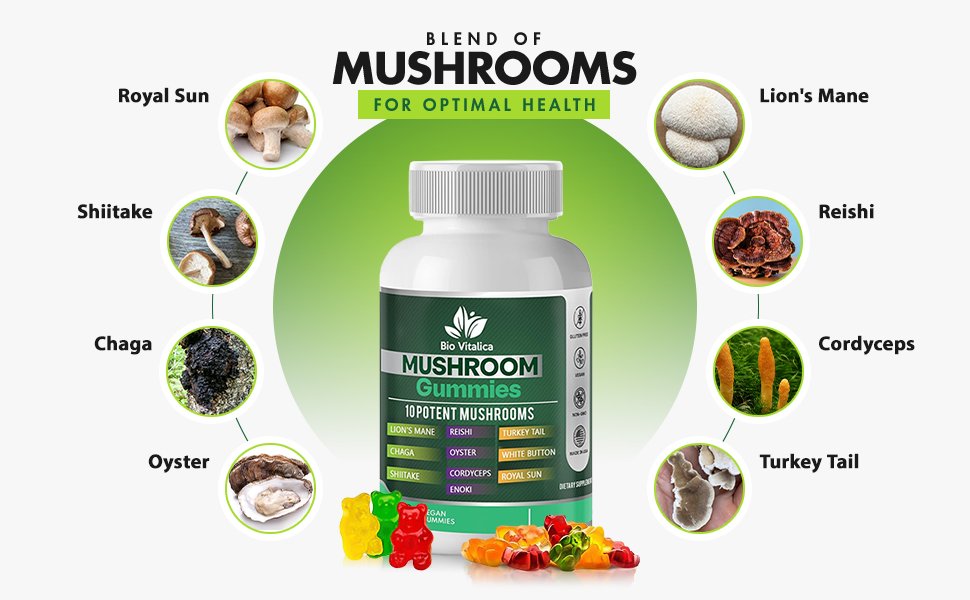 Top Mushroom Supplements for Optimal Health