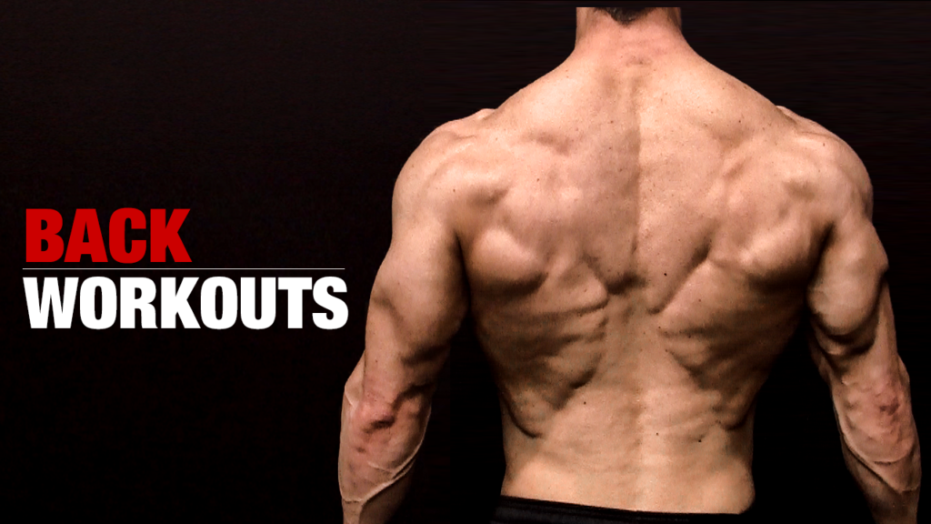 Effective Back Workouts for Strength & Tone