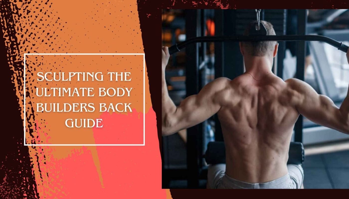 Sculpting the Ultimate Body Builders Back Guide