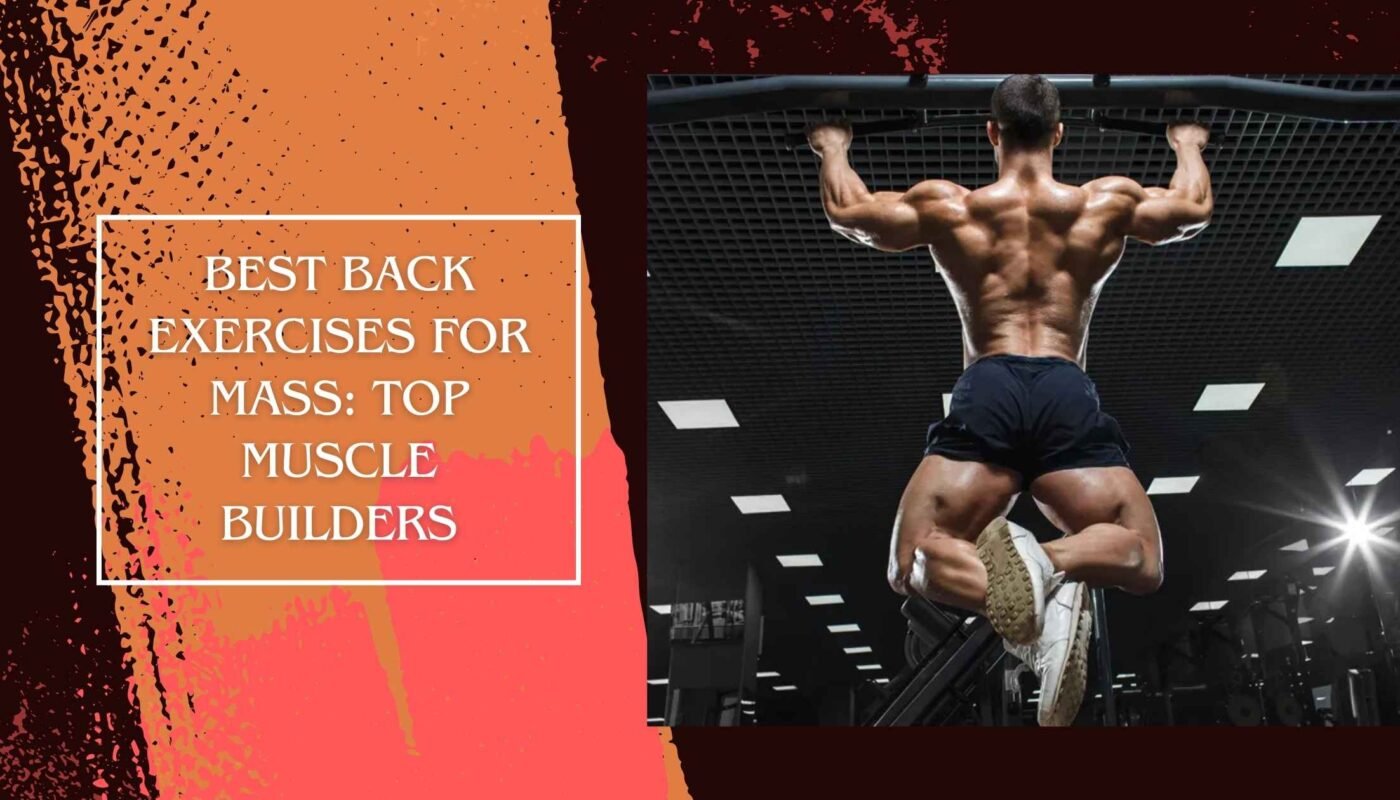 Best Back Exercises for Mass: Top Muscle Builders