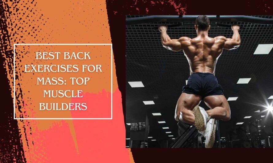 Best Back Exercises for Mass: Top Muscle Builders