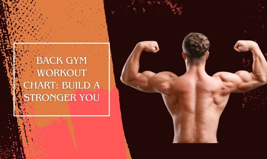 Back Gym Workout Chart: Build a Stronger You