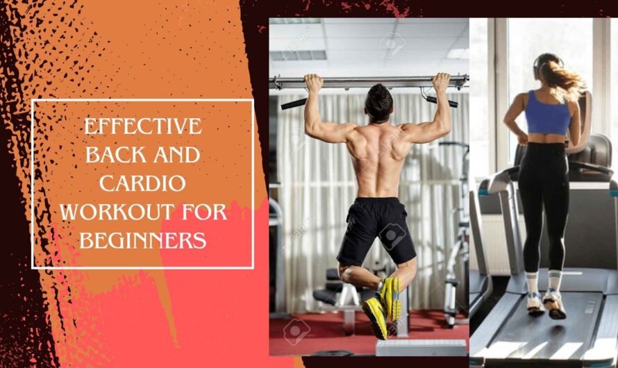 Effective Back and Cardio Workout for Beginners