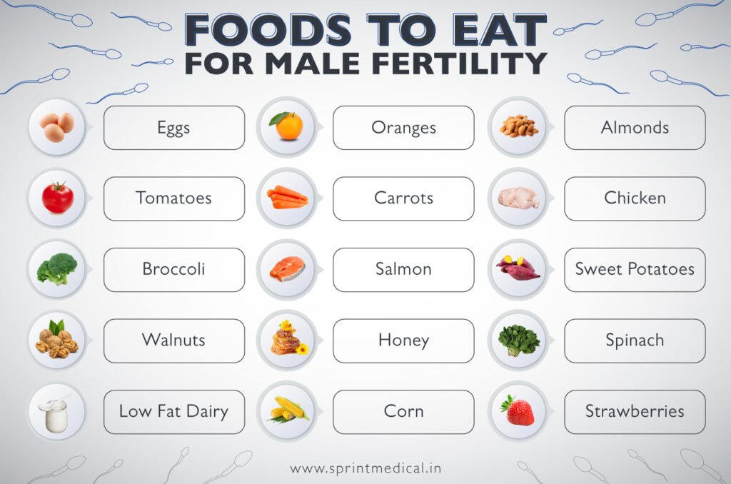 Best Male Fertility Sources for Vitality & Health