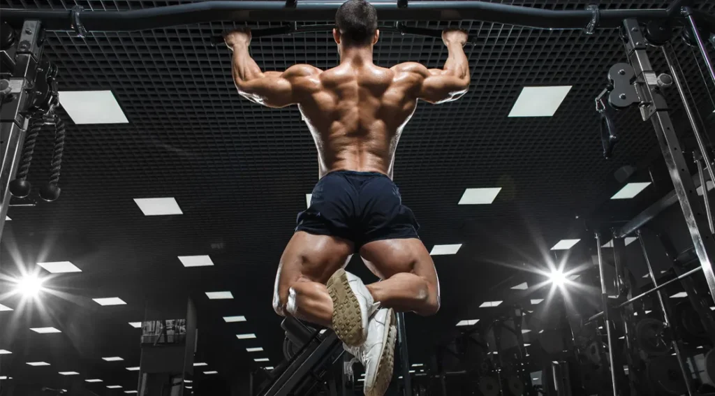 Best Back Exercises for Mass