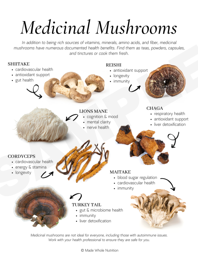 Top Mushrooms for Optimal Health