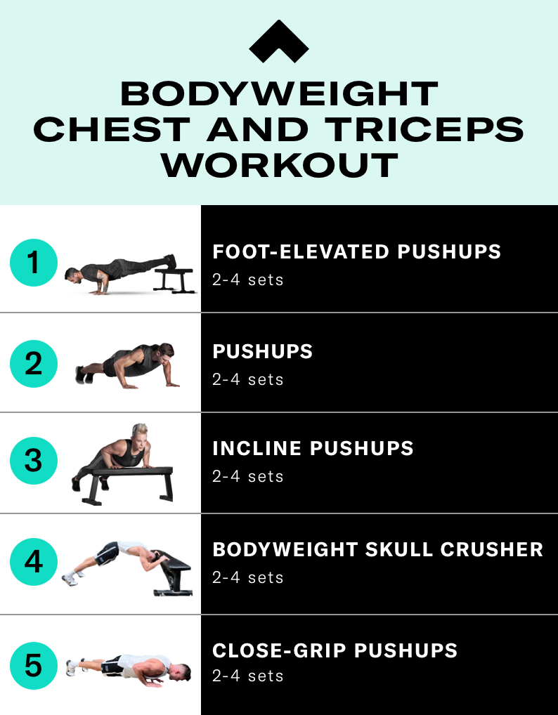 Chest and Triceps Workout