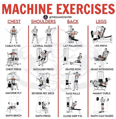 Back Gym Workout Chart