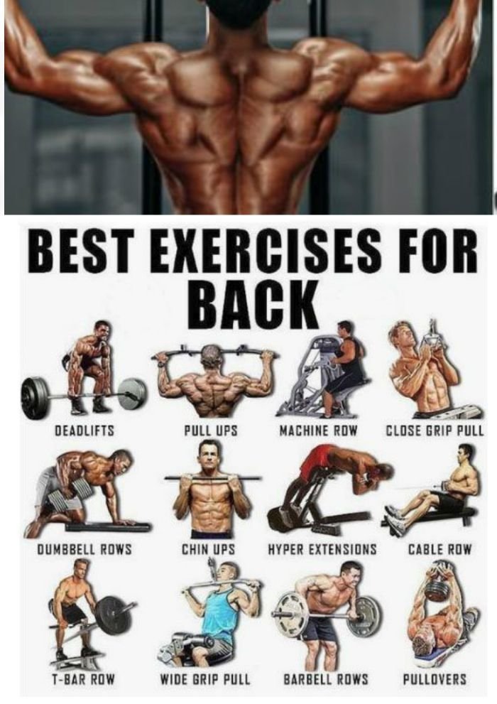 Back Gym Workout Chart