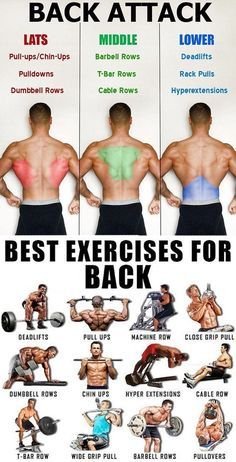 Big Back Workouts