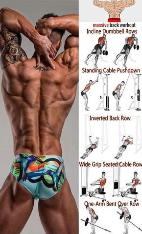 Back Workout Pictures for Effective Training Tips