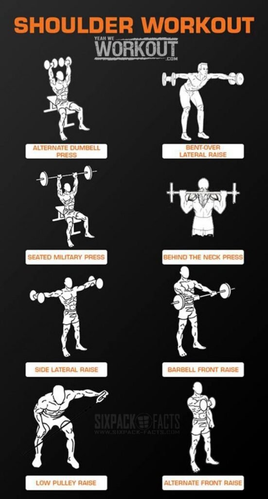 Ultimate Back, Shoulders & Biceps Workout Guide