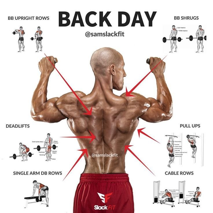 Big Back Workouts