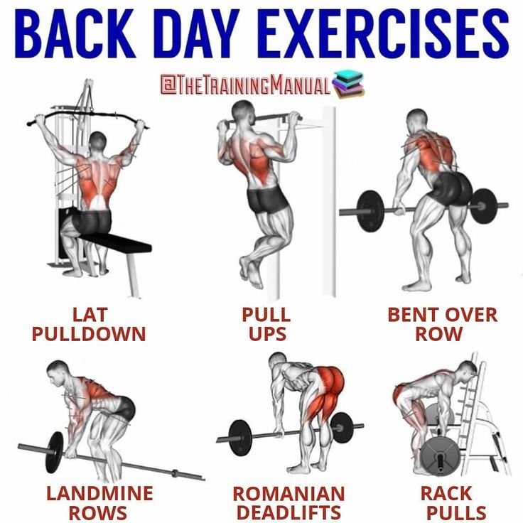 Back Workout Pictures for Effective Training Tips