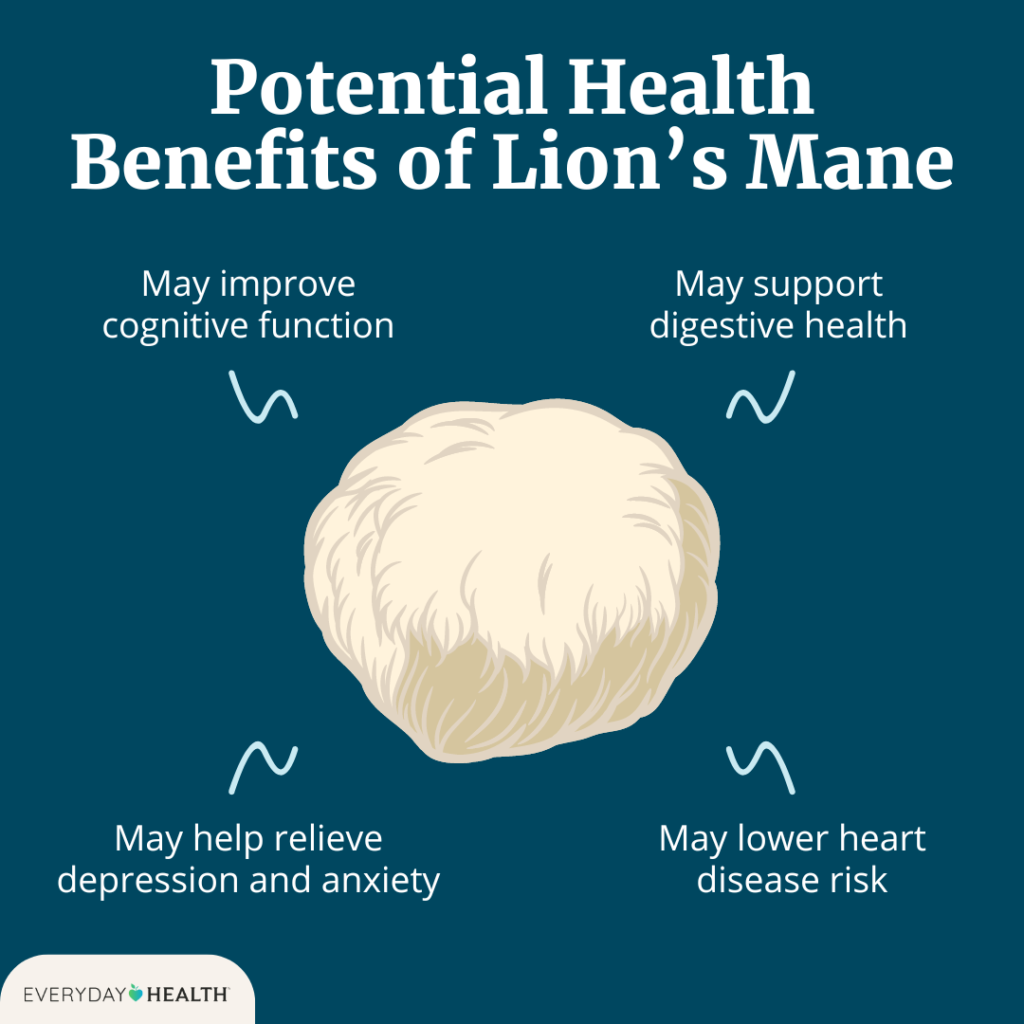 benefits of Lion's Mane