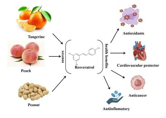 Resveratrol sources