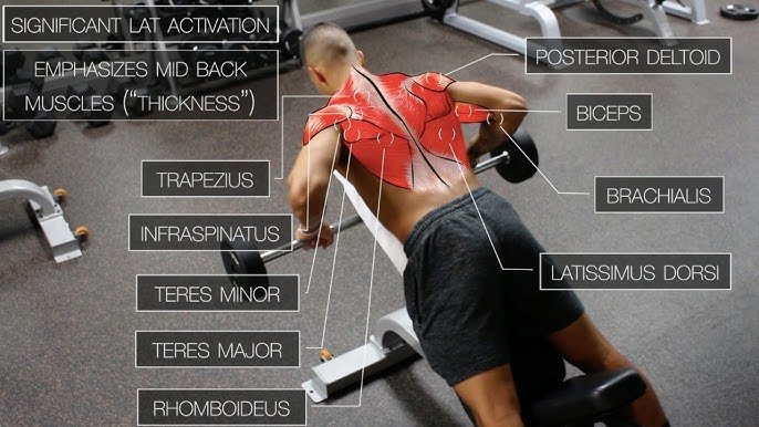 Best Back Exercises for Mass