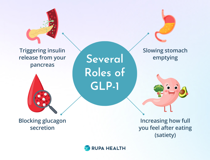 Explore GLP-1 Supplements for Health & Wellness