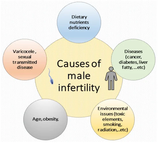 Best Male Fertility causes 