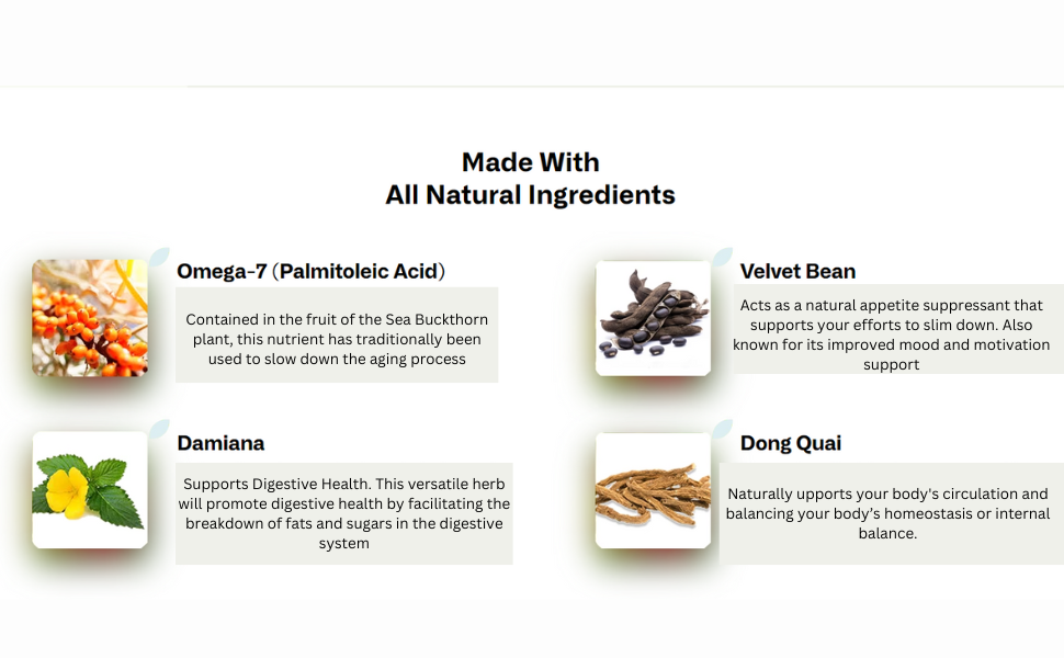 Lepticell ingredients