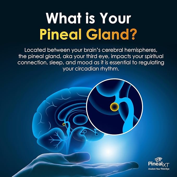 Pineal XT Reviews