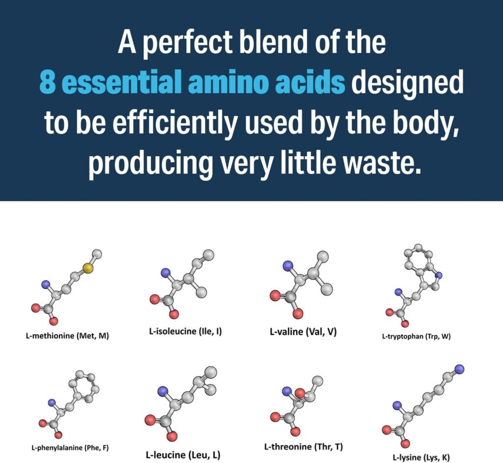 Advanced Amino Formula ingredients