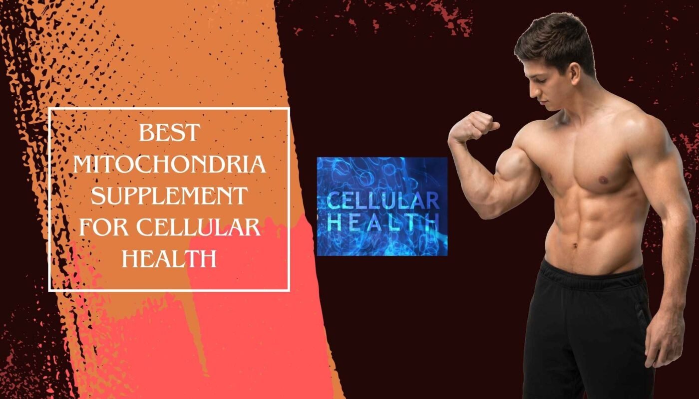 Best Mitochondria Supplement for Cellular Health