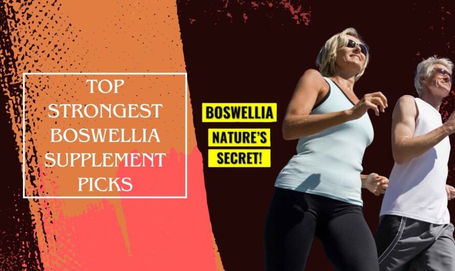 Top Strongest Boswellia Supplement Picks