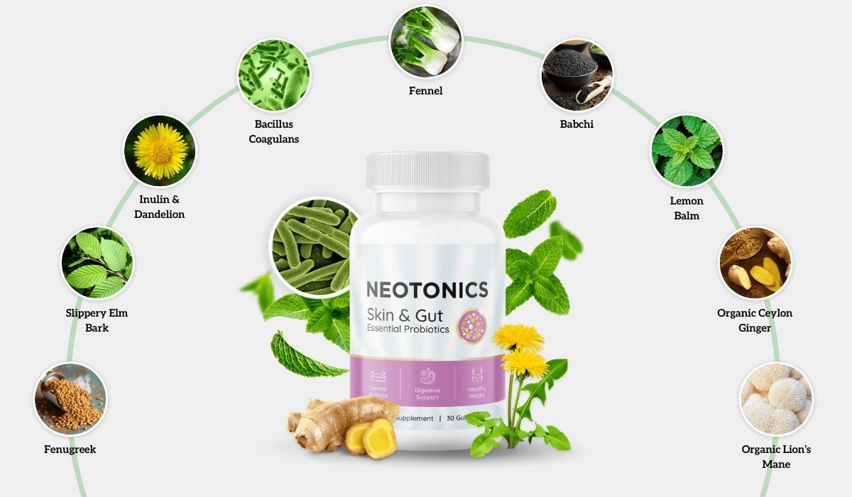 Neotonics Ingredients