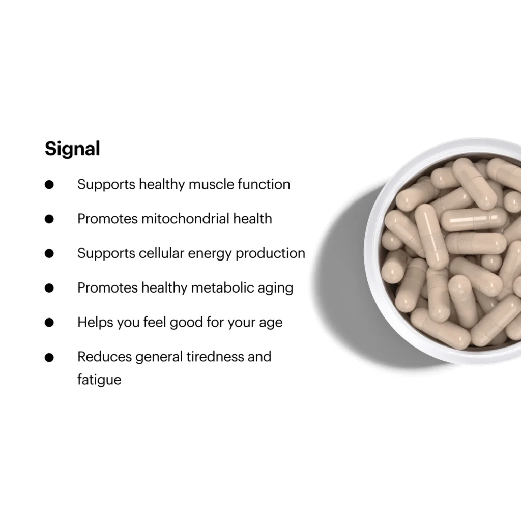 Mitochondria Supplement benefits for Cellular Health