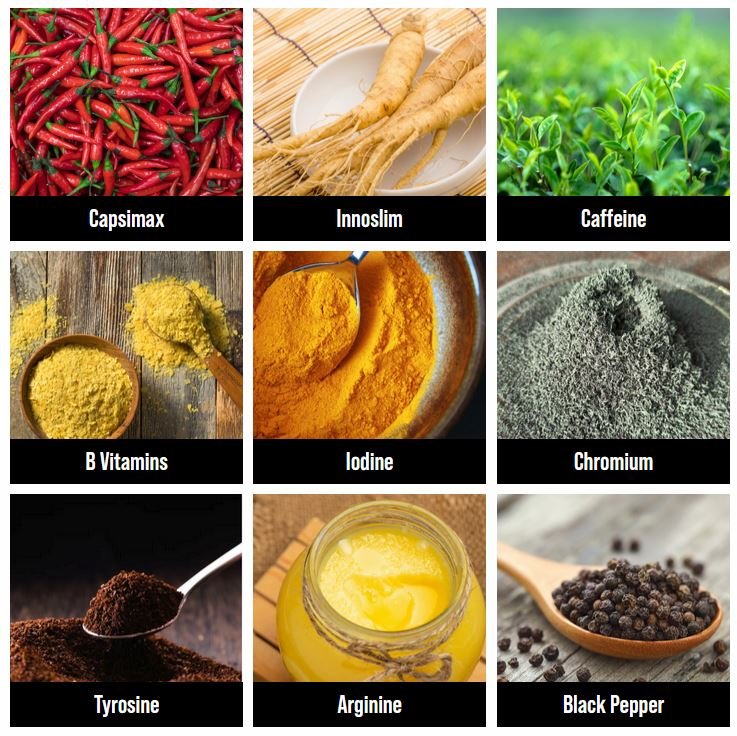 capsiplex burn ingredients