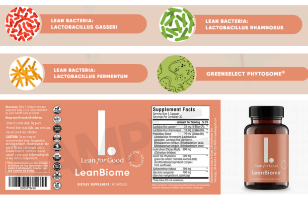 LeanBiome Ingredients